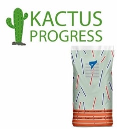 Kactus Progress image