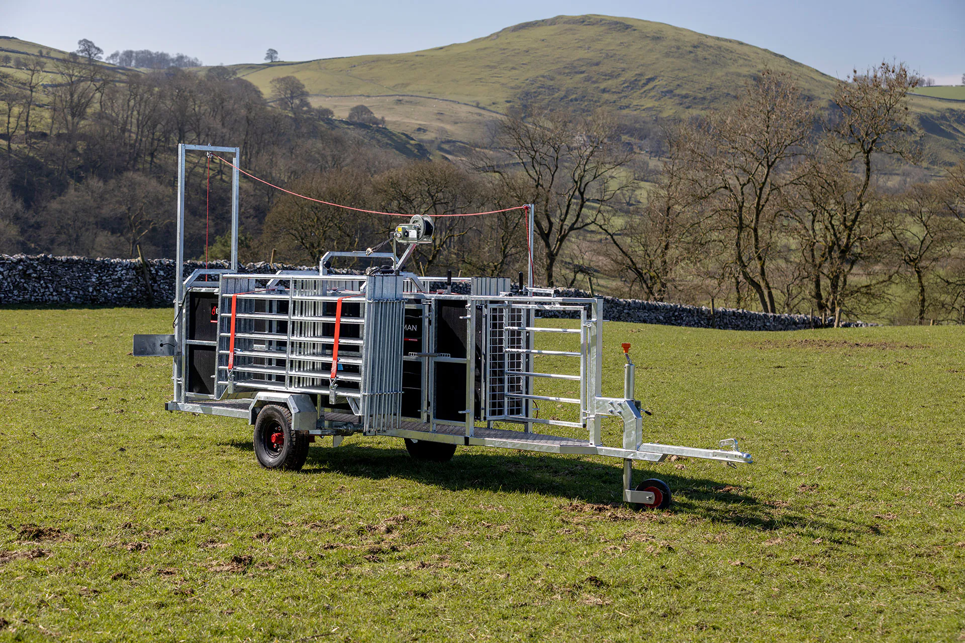 Sheep handling image